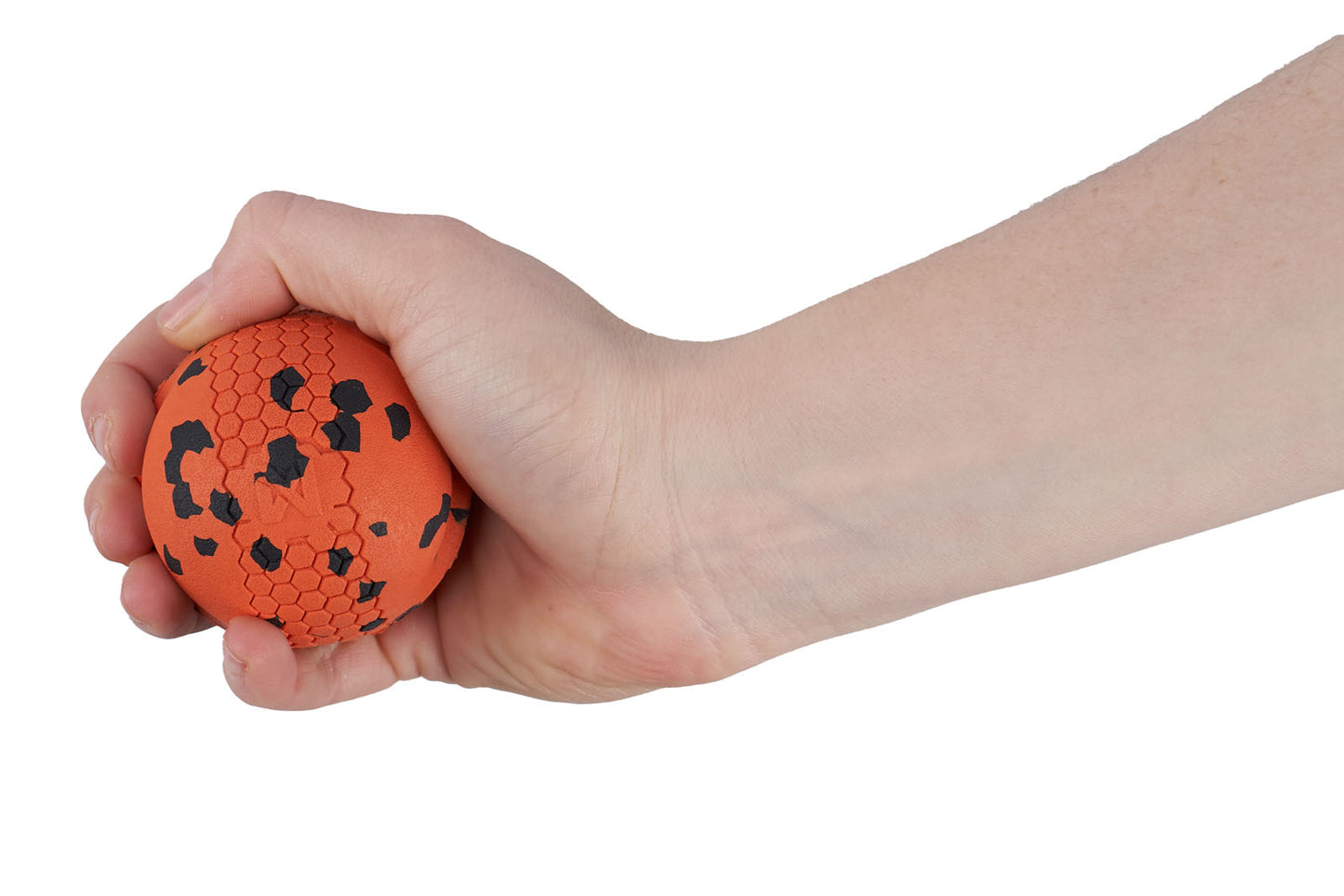 Dog ball ドッグボール