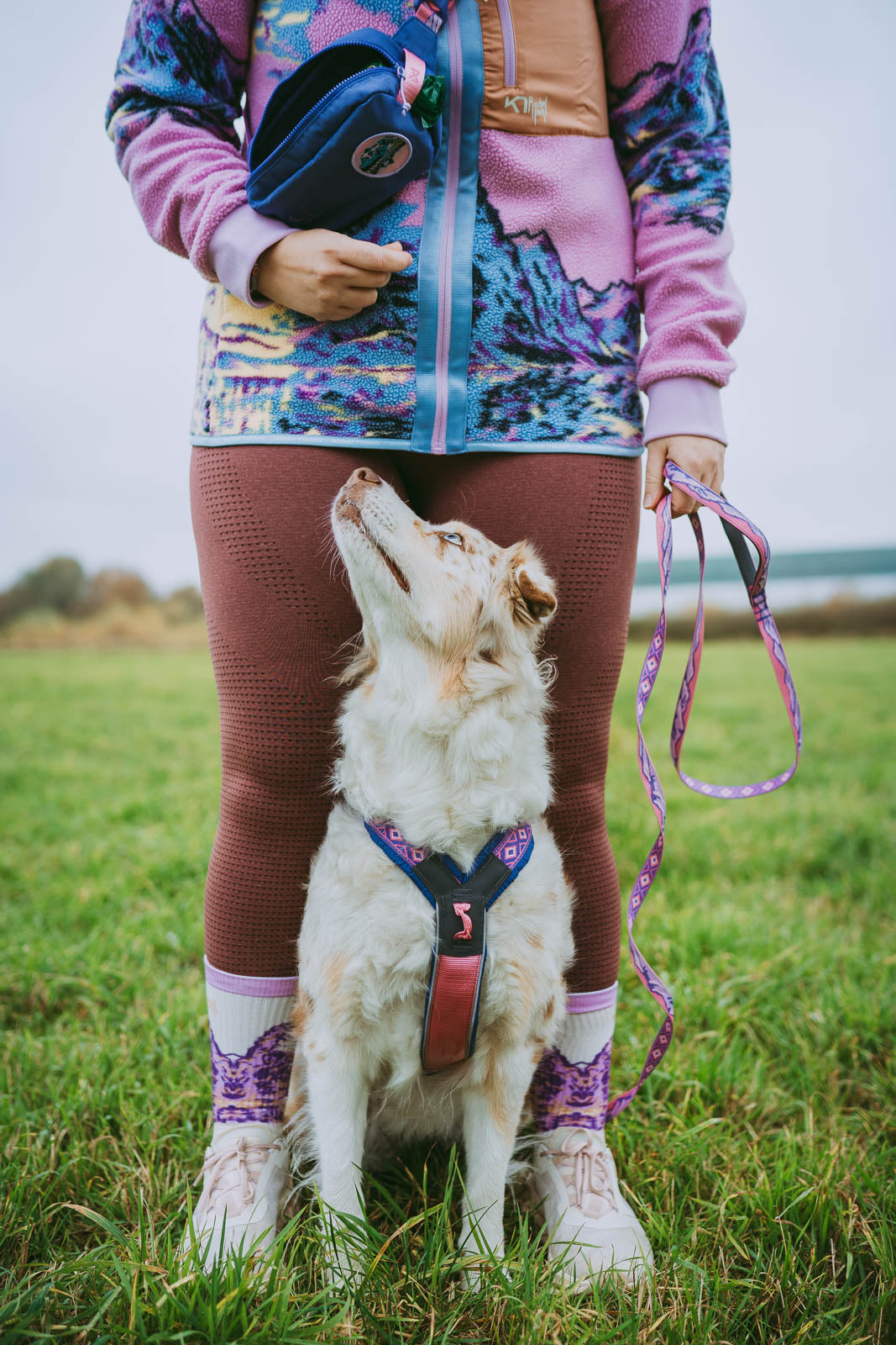 Trail quest leash Rachel Pohl edition 限定コラボ商品!