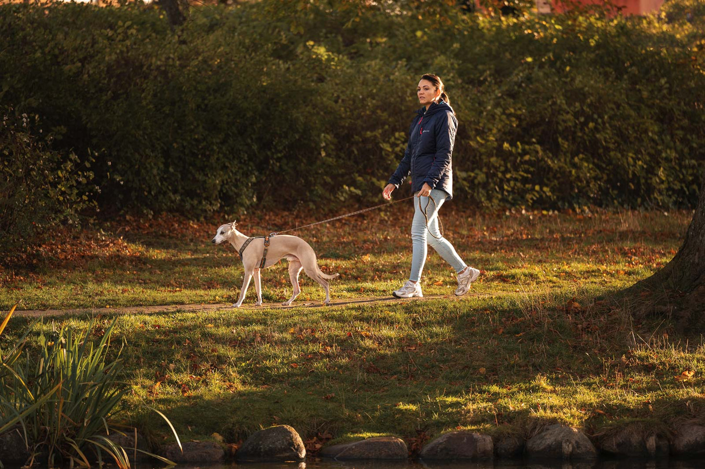 Trail quest leash Rachel Pohl edition 限定コラボ商品!