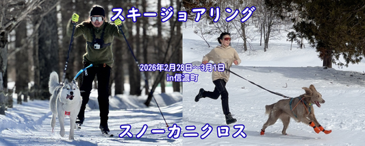 スキージョアリングandスノーカニクロスin信濃町 当日のご案内