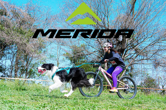 【第3回秋ヶ瀬カニクロス】MERIDA協賛でバイクレンタルが可能になりました！