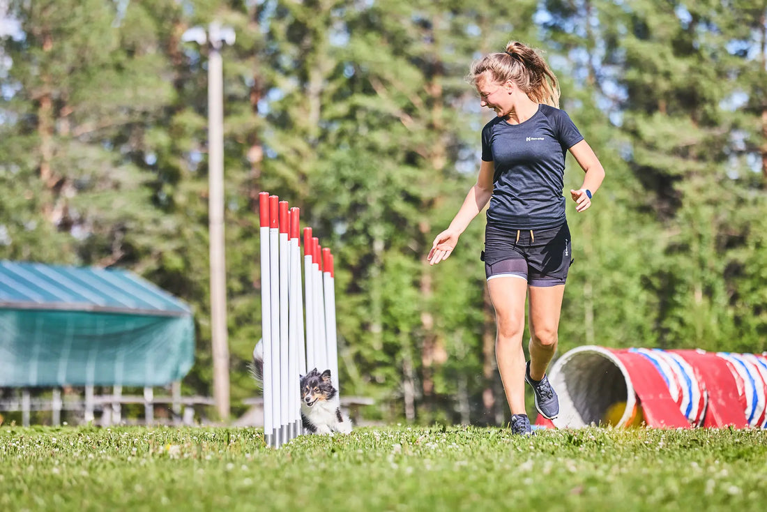 アジリティ犬のための筋力とフィットネスのトレーニング