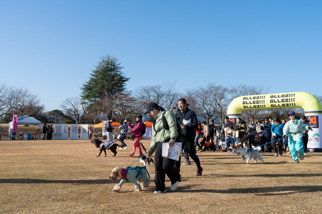 第3回 飯能ドッグロゲイニング in メッツァ 当日のご案内
