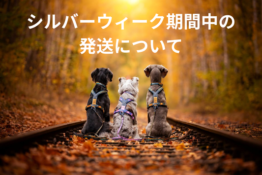 シルバーウィーク期間中は発送をお休みさせていただきます