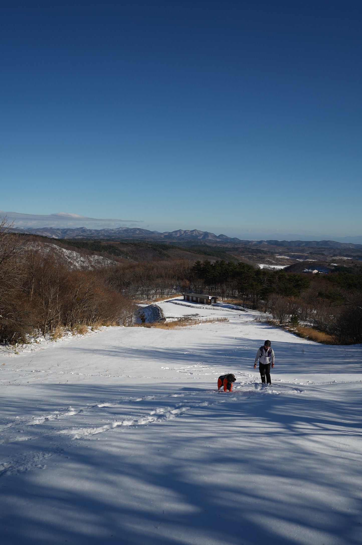 1/17 イヌと雪で遊ぼう㏌西郷村 スノートレッキング日帰りランチ付