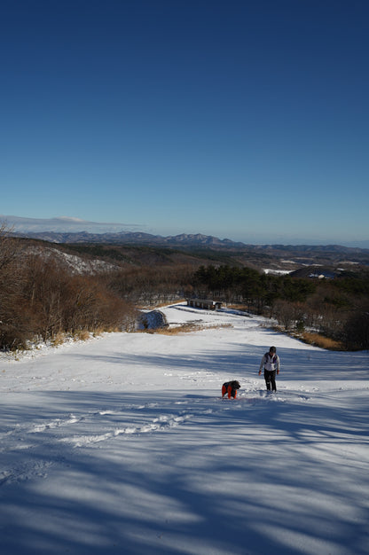 1/17 イヌと雪で遊ぼう㏌西郷村 スノートレッキング日帰りランチ付