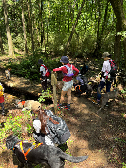 イヌと山&沢で遊ぼうトレラン 5/6(水祝)