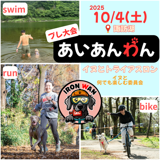 あいあんわん（イヌとトライアスロン）in 諏訪湖 10/4