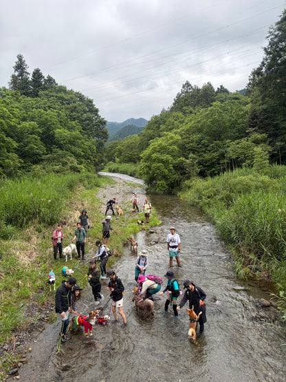 イヌと山&沢歩き2026 8/19(水) 8/23(日)