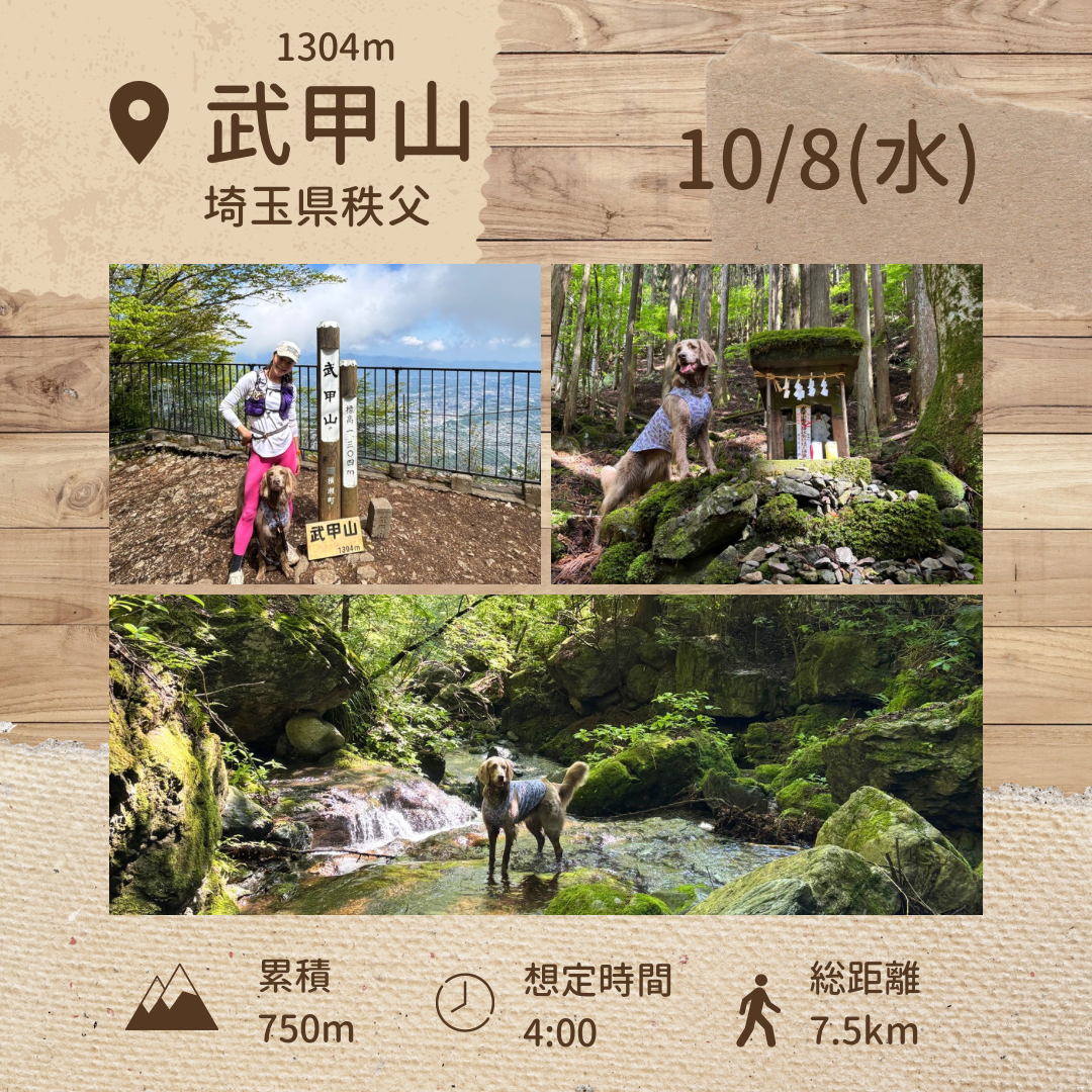 イヌと山 秩父 武甲山登山 10/8(水)