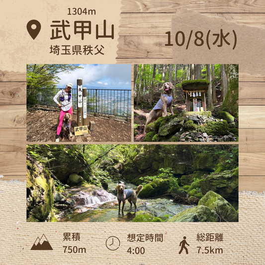 イヌと山 秩父 武甲山登山 10/8(水)