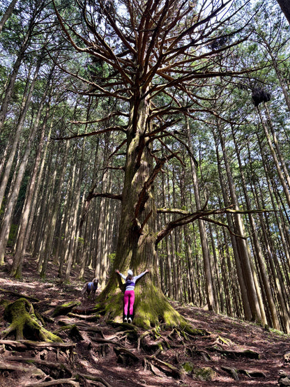 イヌと山 秩父 武甲山登山 10/8(水)