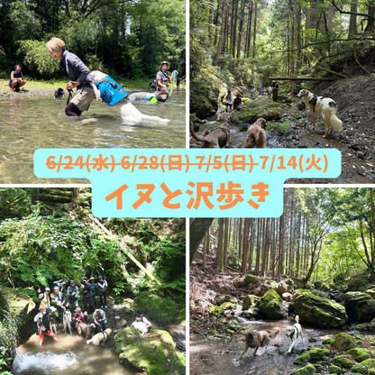 イヌと山&沢歩き2026 7/5(日)7/14(火)7/25(土)