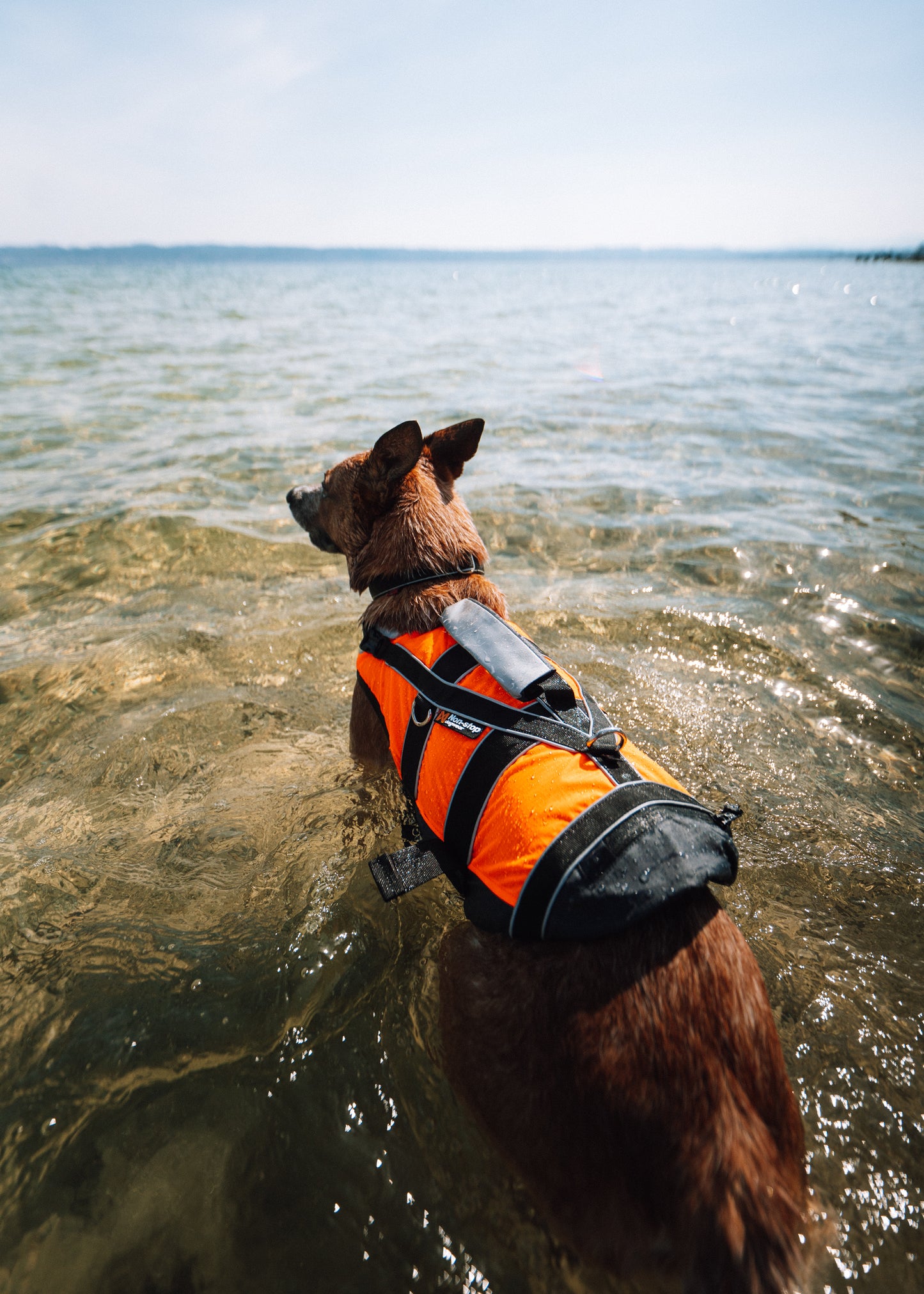 Safe life jacket 2.0