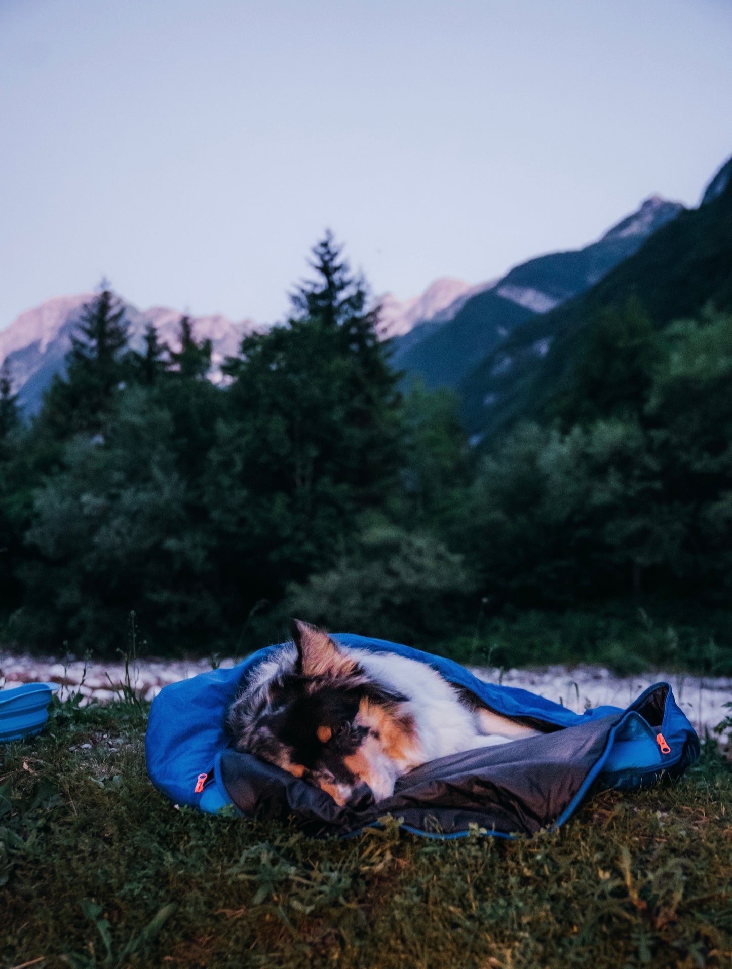 Ly sleeping bag キャンプ犬用寝袋