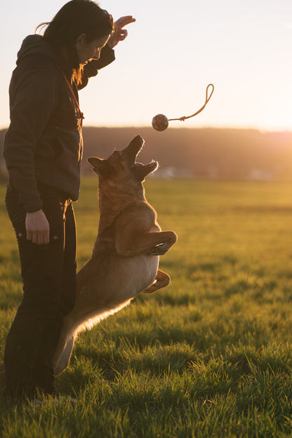 Dog ball on rope 耐久性のあるロープ付きおもちゃ