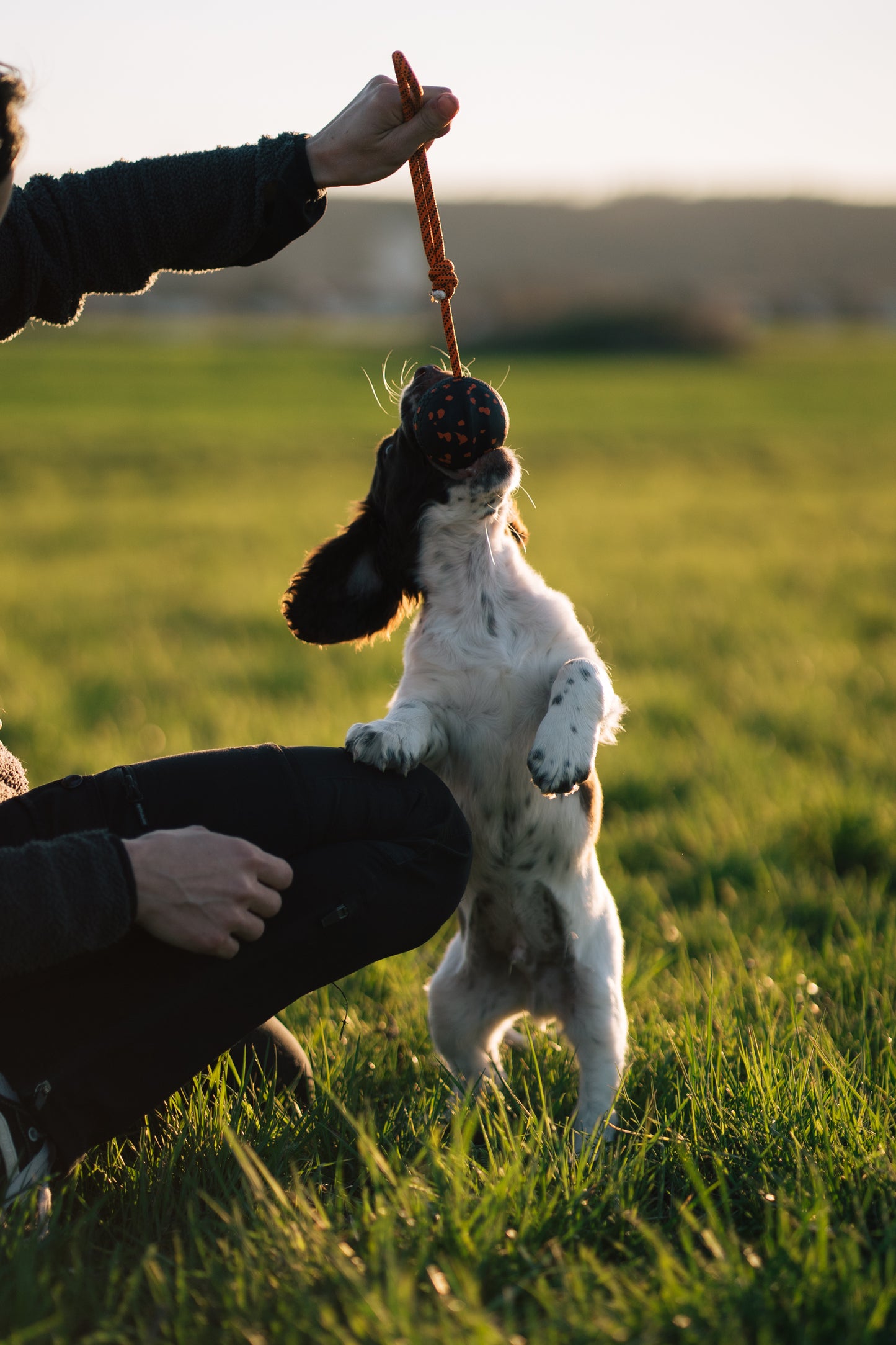 Dog ball on rope 耐久性のあるロープ付きおもちゃ