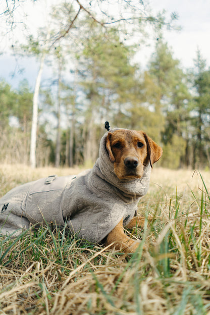 Drying coat 犬用タオルバスローブ
