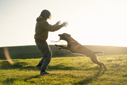 Dog ball on rope 耐久性のあるロープ付きおもちゃ