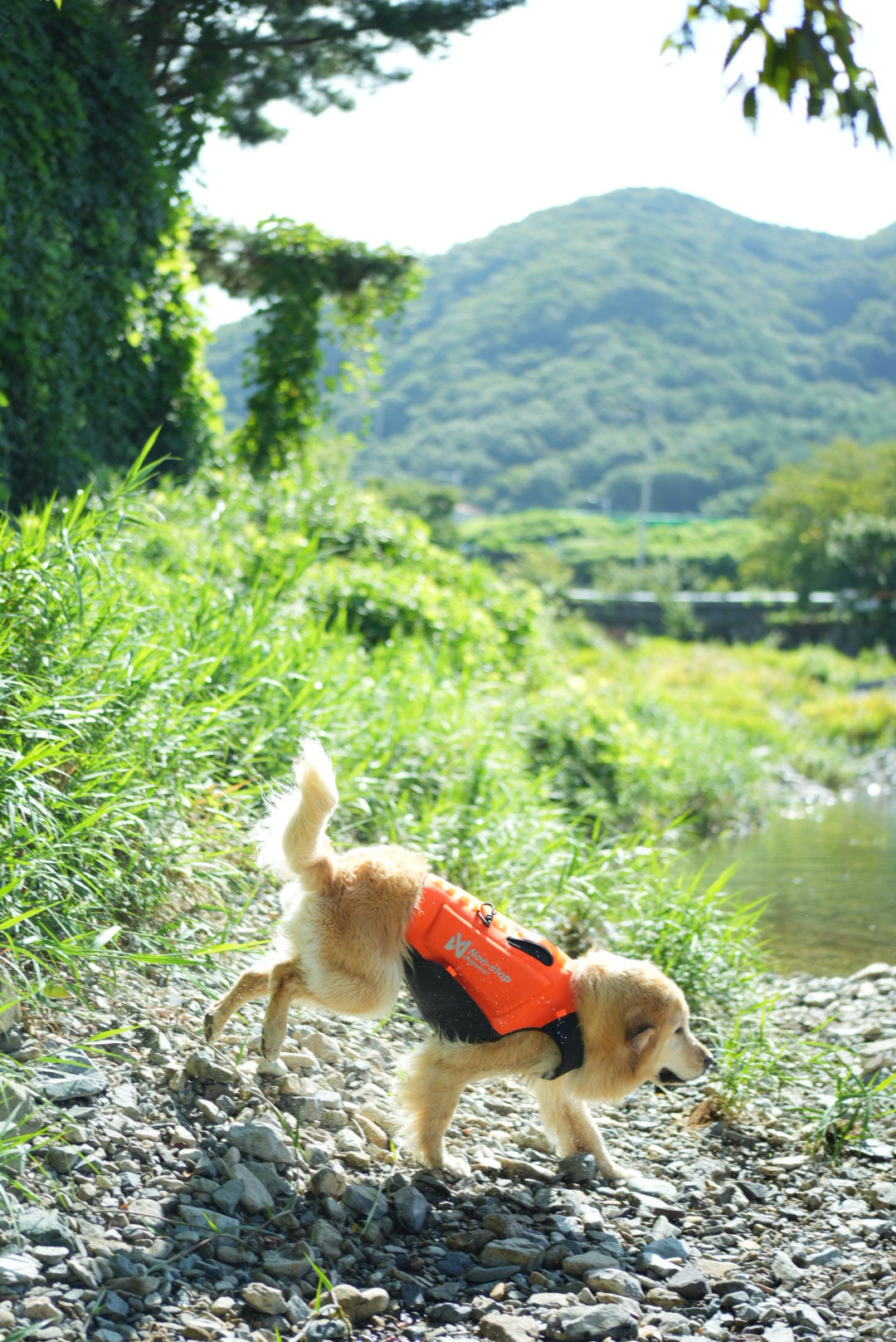 Protector neoprene vest 冷え対応・高保温のプロ仕様ネオプレーンベスト