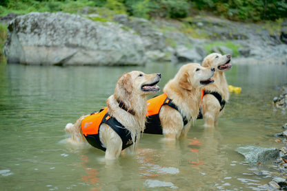 Protector neoprene vest 冷え対応・高保温のプロ仕様ネオプレーンベスト