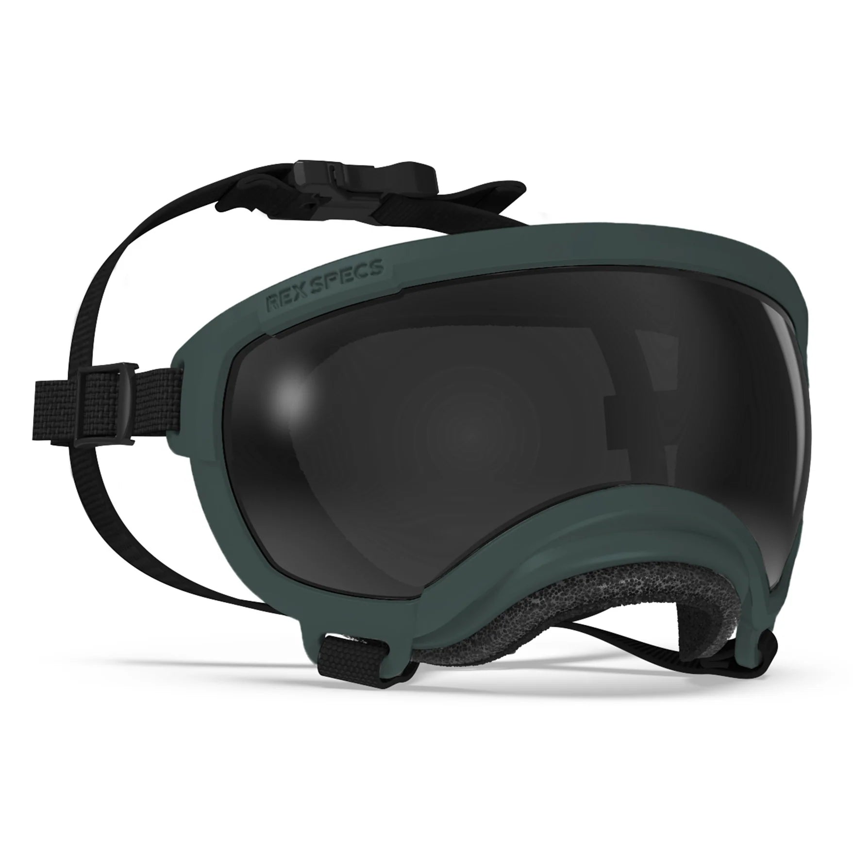 REX SPECS Goggles V2 夏の紫外線から犬の目を守るゴーグル 【即日配送