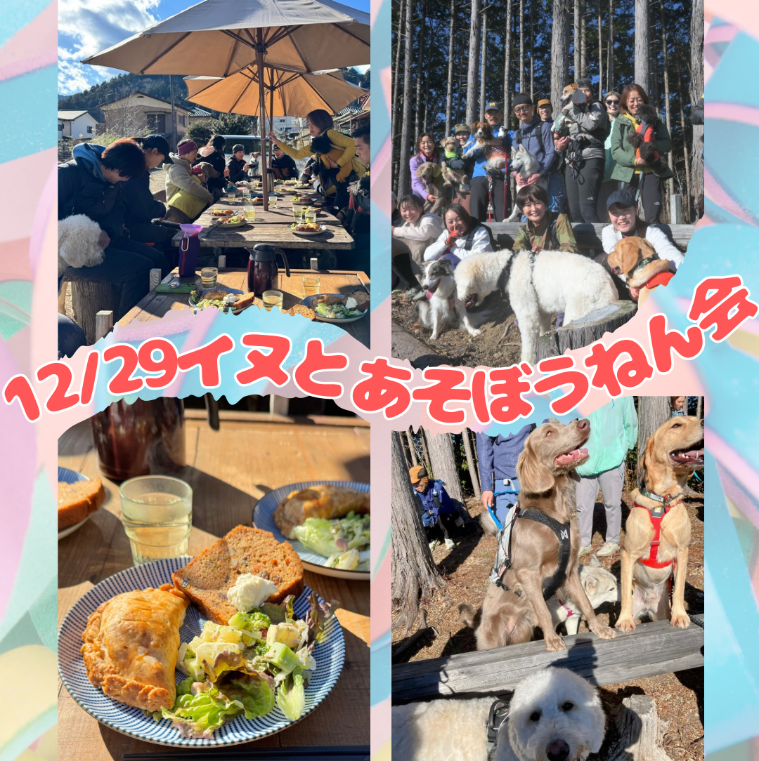 イヌと山であそぼうねん会 ランチ付12/29(月)