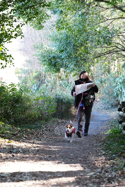 八ヶ岳ドッグロゲイニング in 清里の森 4/26