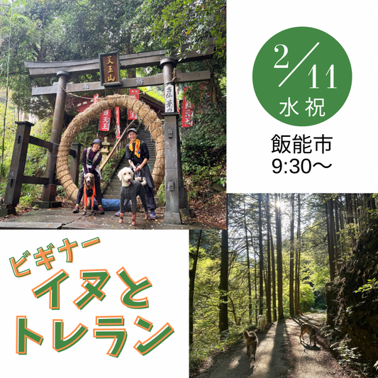 イヌと山 ビギナートレラン2/11(水)