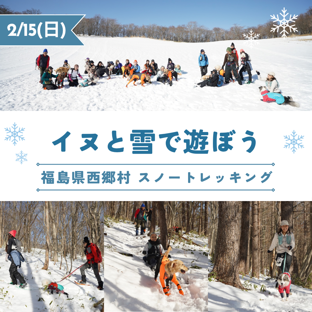 2/15 イヌと雪で遊ぼう㏌西郷村 スノートレッキング日帰りランチ付