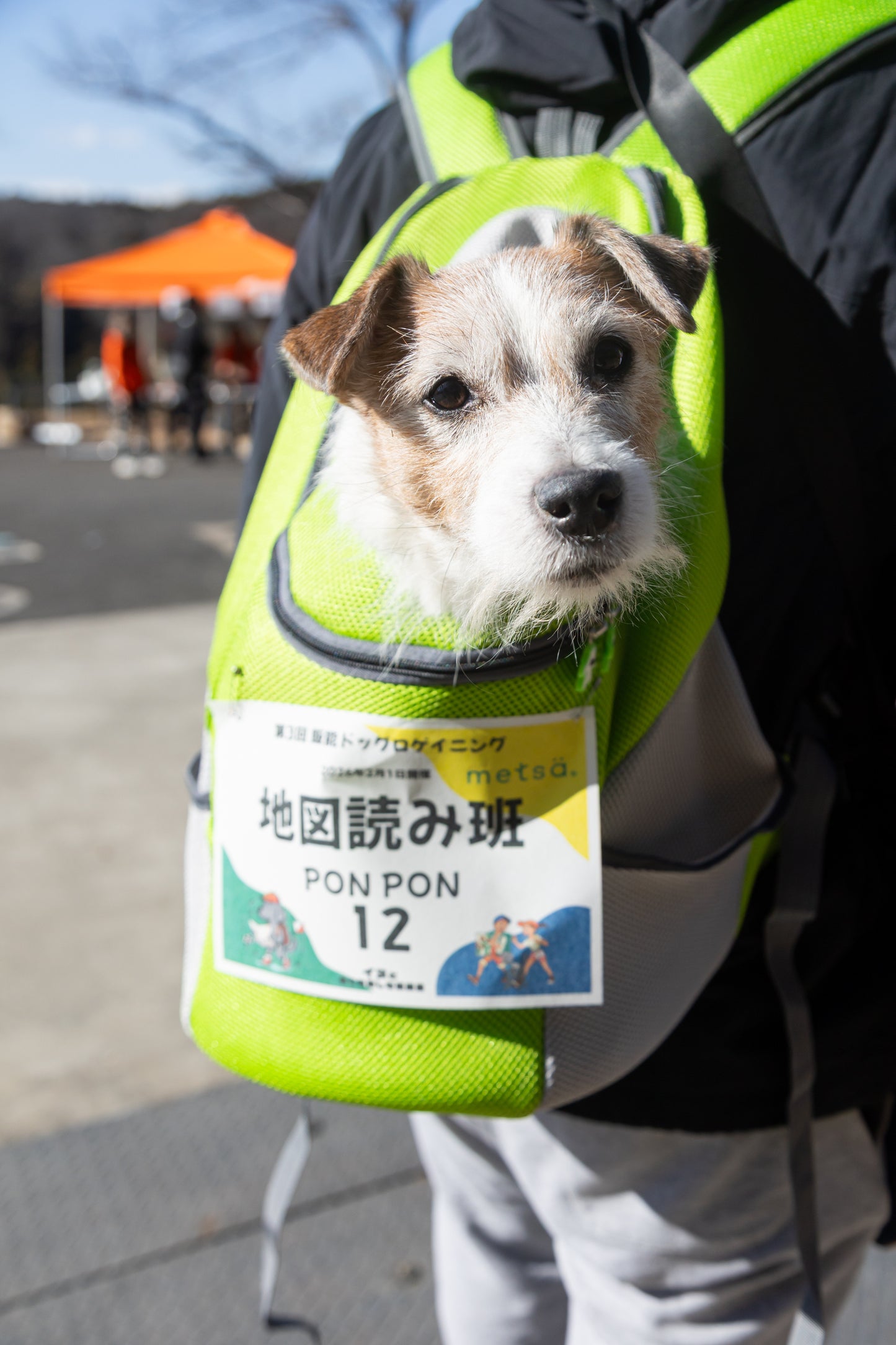 八ヶ岳ドッグロゲイニング in 清里の森 4/26