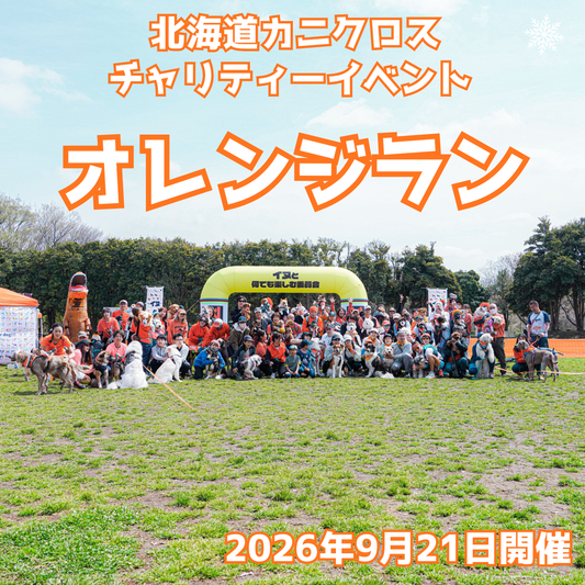 北海道カニクロス(ドックマラソン)in八雲噴火湾パノラマパーク オレンジラン（チャリティラン）9/21