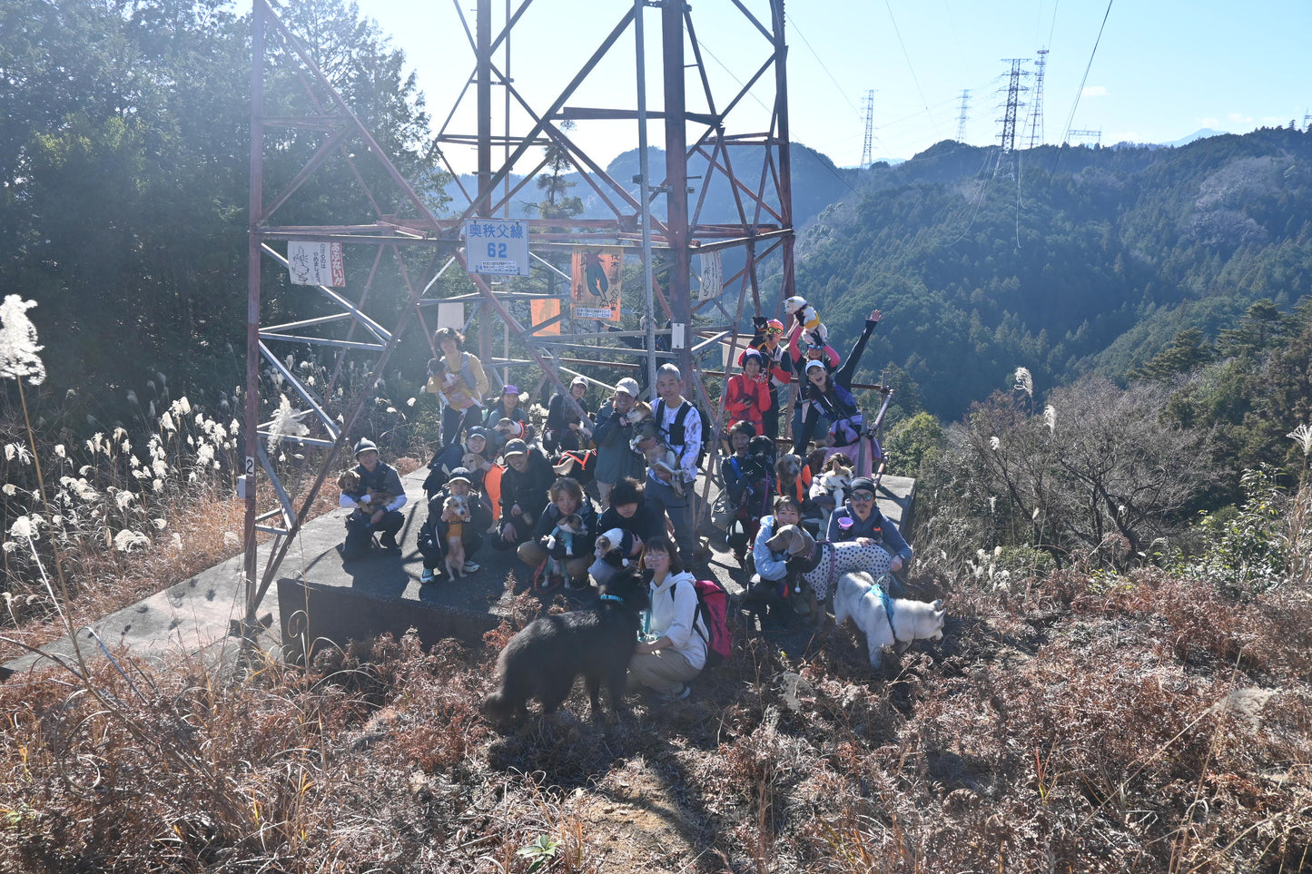 イヌと山 イヌとトレラン3/11(水) 3/29(日)ビギナー歓迎
