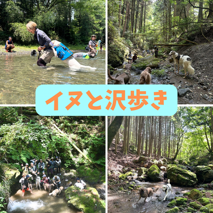 イヌと山&沢歩き2026 8/19(水) 8/23(日)