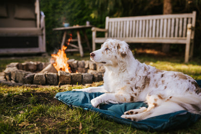 Trekking dog bed 犬用の軽量キャンピングマット
