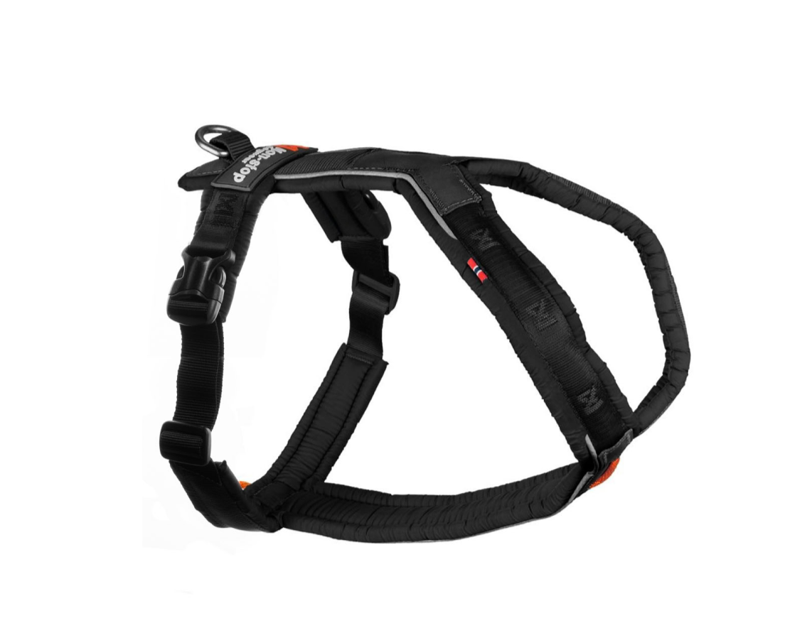 犬用定番ハーネス カニクロスにおすすめ! Line harness 5.0 – イヌと 犬用定番ハーネス カニクロスにおすすめ! Line harness 5.0 – イヌと