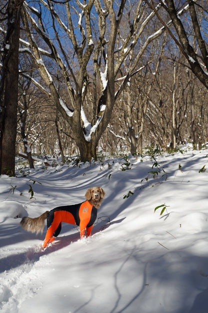 1/17 イヌと雪で遊ぼう㏌西郷村 スノートレッキング日帰りランチ付