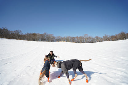 2/15 イヌと雪で遊ぼう㏌西郷村 スノートレッキング日帰りランチ付