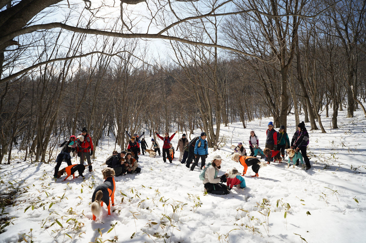 2/15 イヌと雪で遊ぼう㏌西郷村 スノートレッキング日帰りランチ付
