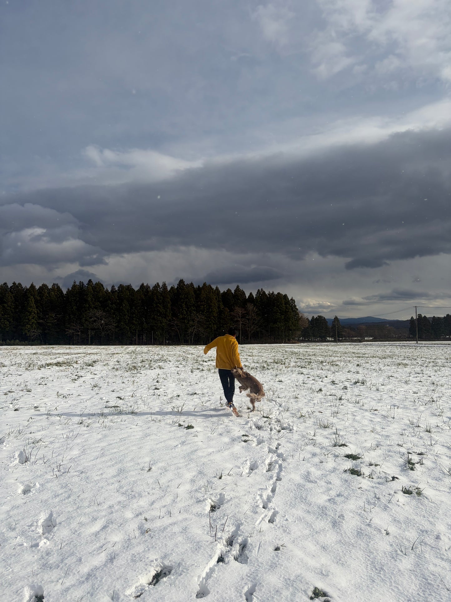 1/17 イヌと雪で遊ぼう㏌西郷村 スノートレッキング日帰りランチ付