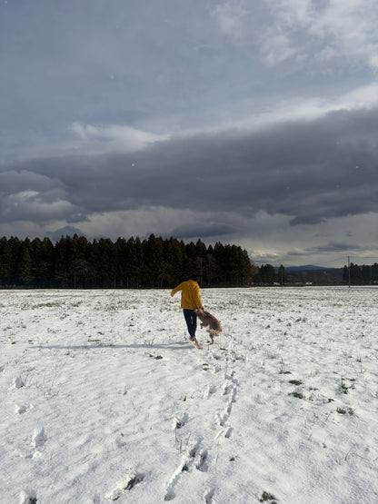 1/17 イヌと雪で遊ぼう㏌西郷村 スノートレッキング日帰りランチ付