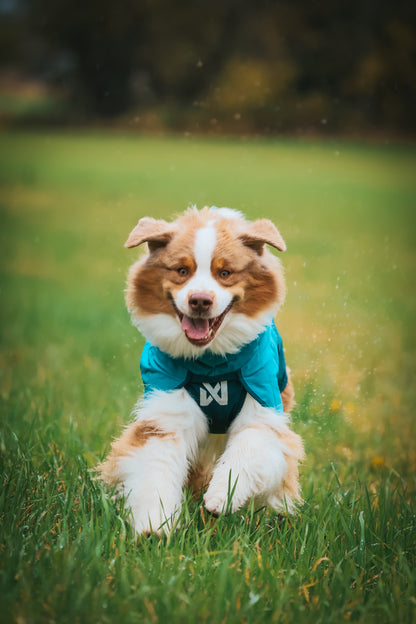 Fjord raincoat 2.0 全天候型ドッグレインコート