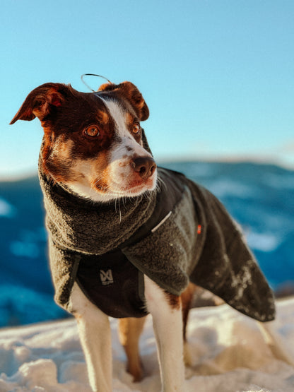 wool dog jacket 雪山・スキー対応 犬用ウールジャケット