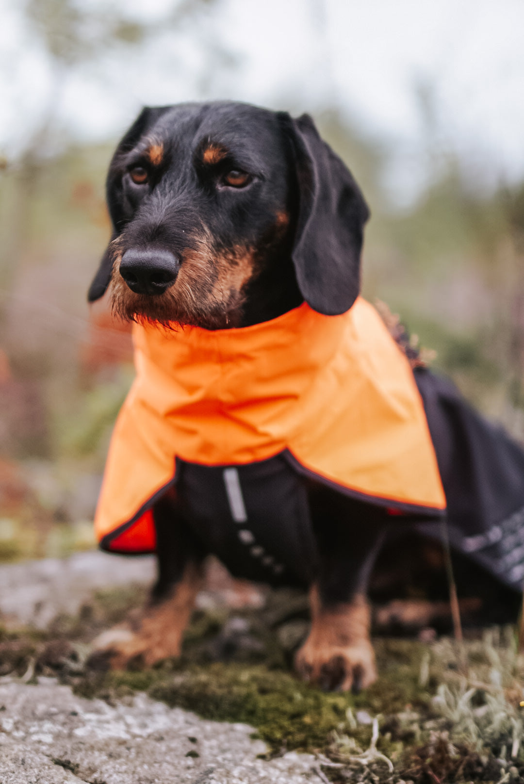 Fjord raincoat レインコート