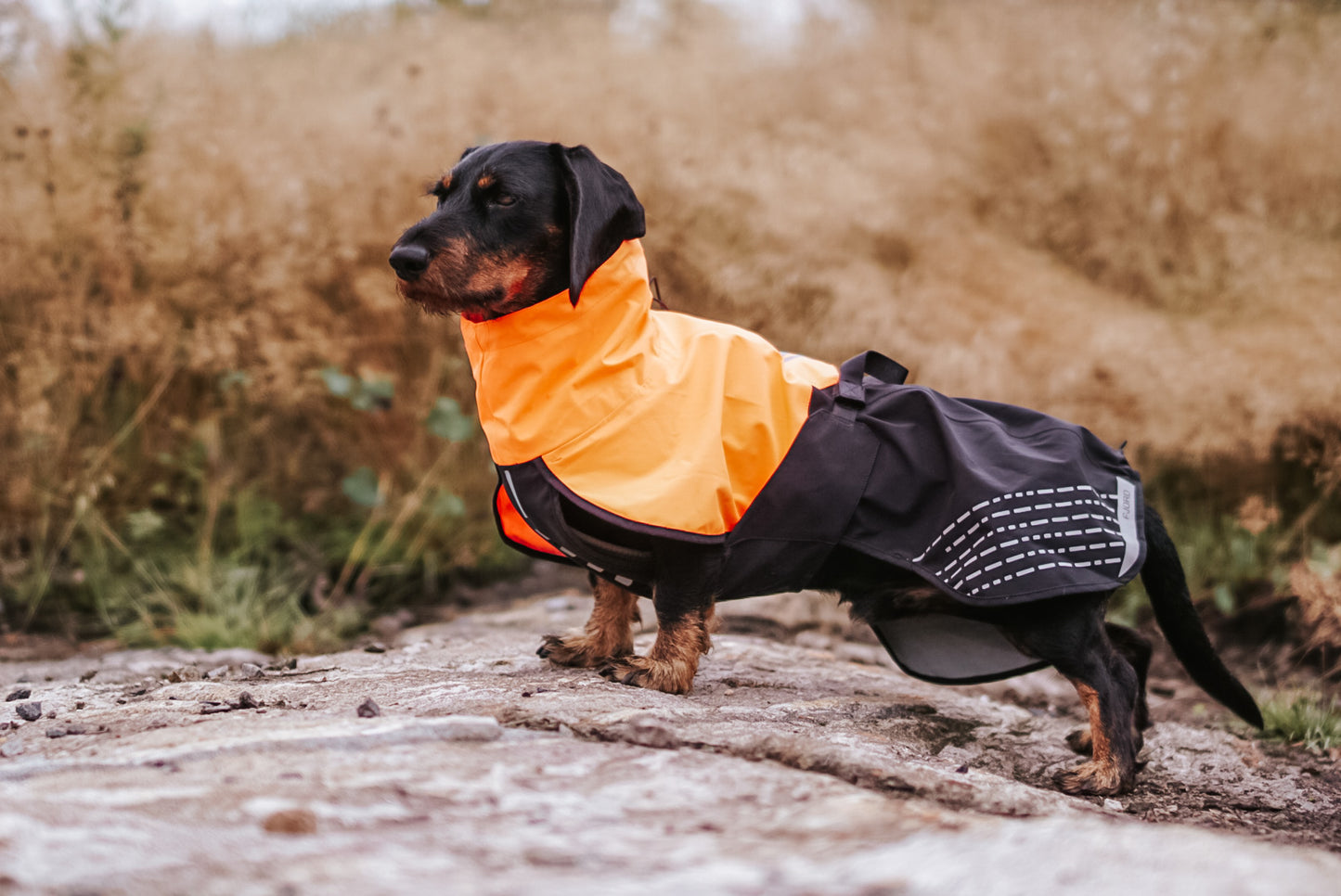 Fjord raincoat レインコート