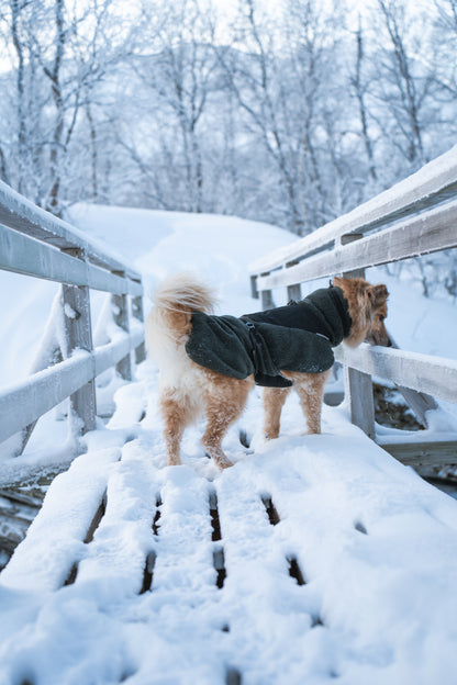 wool dog jacket 雪山・スキー対応 犬用ウールジャケット