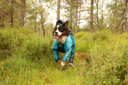 Fjord overall raincoat オーバーオール アクティブレイン