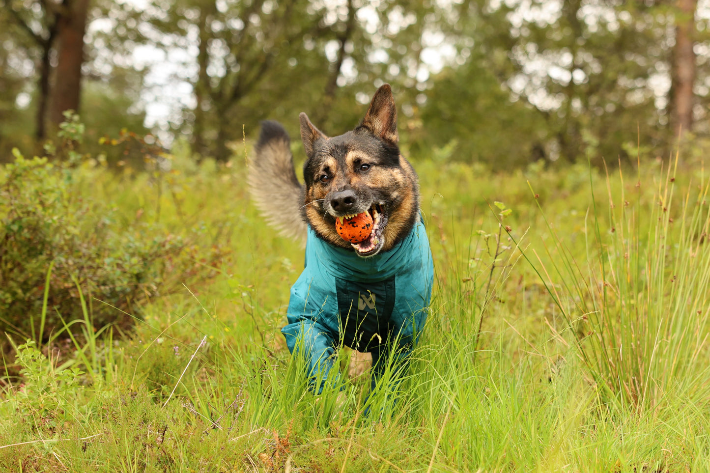 Fjord overall raincoat オーバーオール アクティブレイン