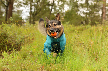 Fjord overall raincoat オーバーオール アクティブレイン