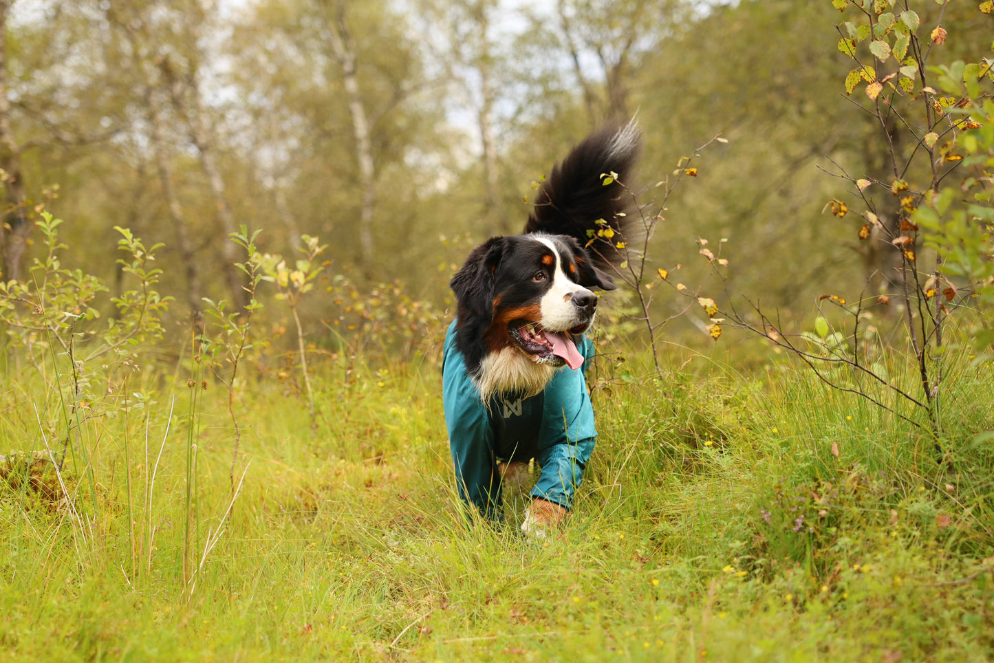 Fjord overall raincoat オーバーオール アクティブレイン